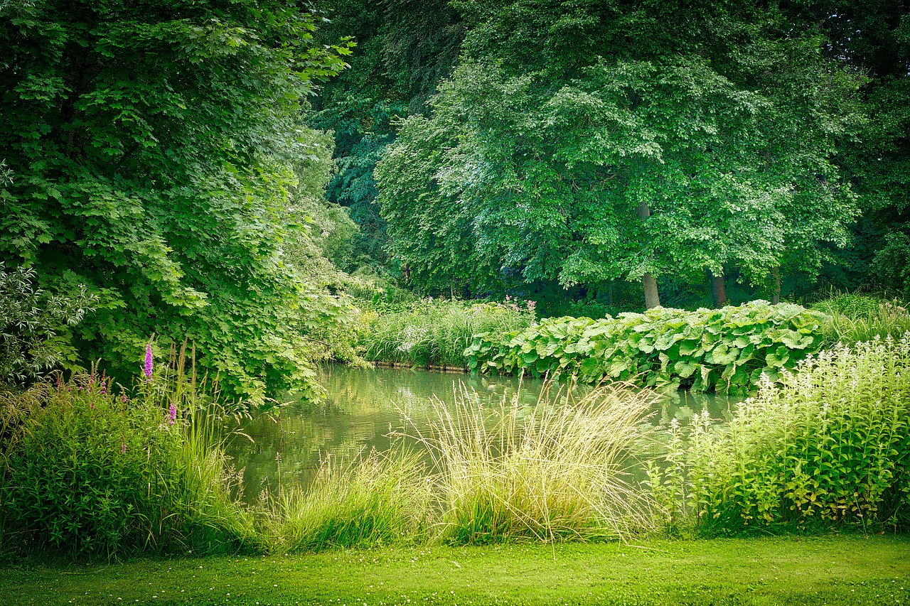 forest-5208150_1280